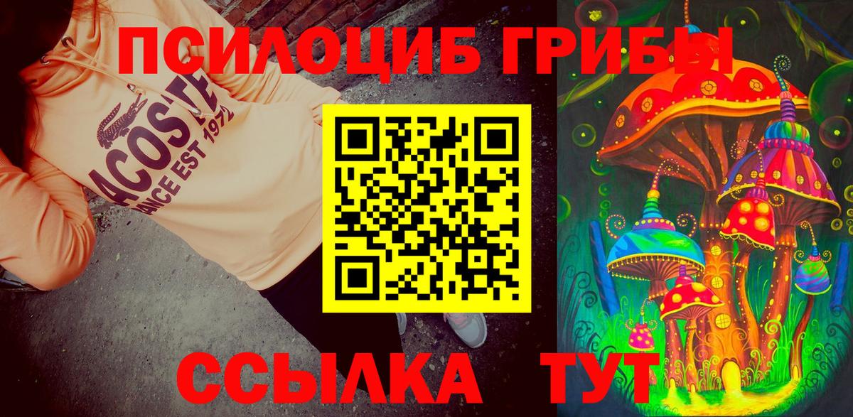 Псилоцибиновые грибы мухоморы Алушта