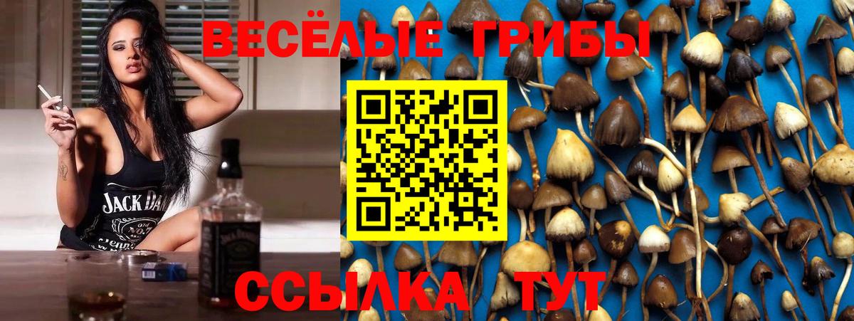 Галлюциногенные грибы прущие грибы  Вход с VPN  Алушта 
